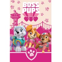 Odeja iz flisa Paw Patrol Boss Pups 100x150 cm Odeja iz flisa Paw Patrol Boss Pups 100x150 cm